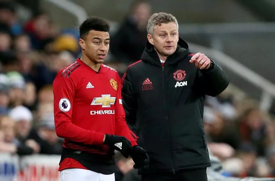 他以顽强的 他以顽强的