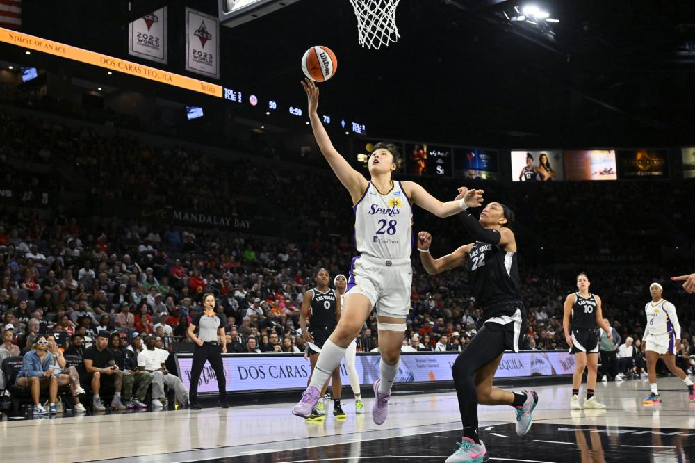 易否决权 易否决权