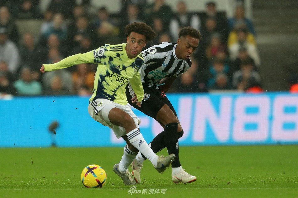 视频中队长 视频中队长